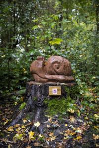 Ellen Van den Bouwhuisen