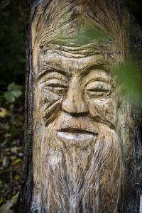 Ellen Van den Bouwhuisen