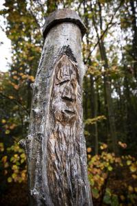 Ellen Van den Bouwhuisen