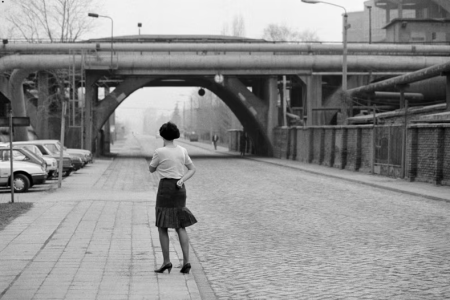 PhotoBrussels Festival 