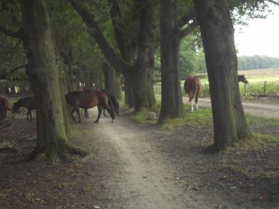 onderrweg