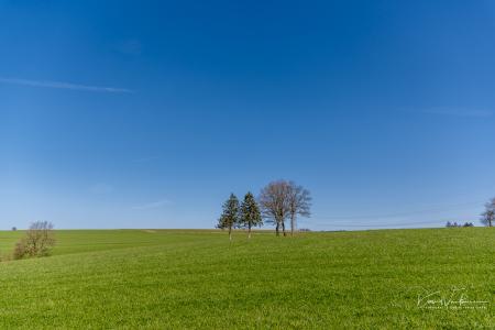 Houffalize