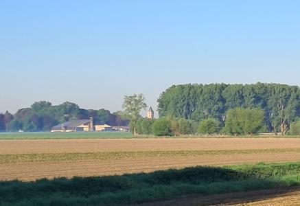 Zicht op de O.-L.-V. Geboortekerk in Bellem