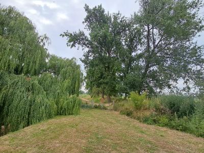 Olmendijkje met Naastliggende Oude Haven