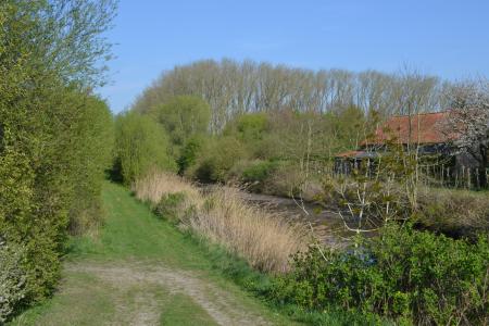 Trage Weg naast de Zwartesluisbeek
