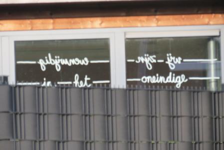 Fiets – O – strade ( achter perron richting Lier ) foto vervalt