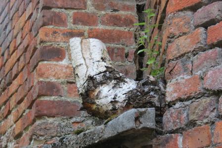 Pastoorsleike bijna aan kruising met Jan Frans Willemsstraat