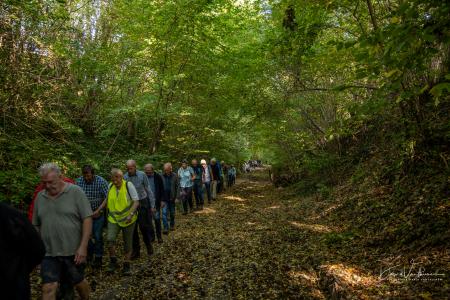 Wandelen door Troostembergbos