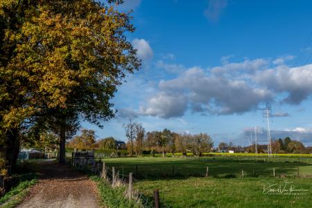 Herfstwandeling Glabbeek
