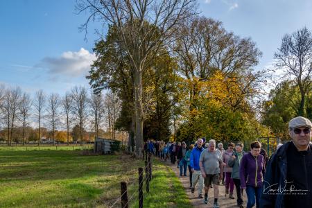 Herfstwandeling Glabbeek