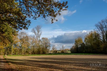 Herfstwandeling Glabbeek