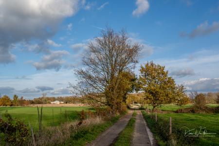 Herfstwandeling Glabbeek
