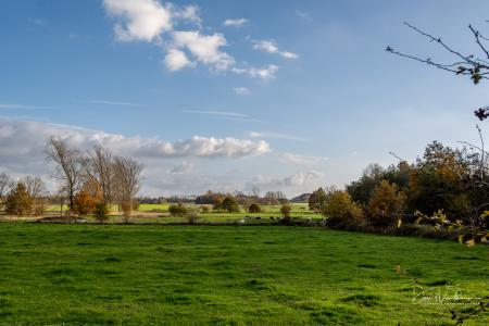 Herfstwandeling Glabbeek