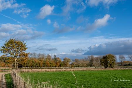 Herfstwandeling Glabbeek