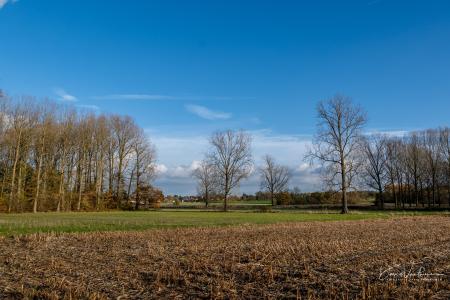 Herfstwandeling Glabbeek