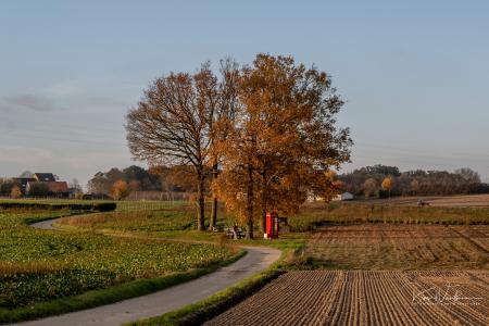 Herfstwandeling Glabbeek