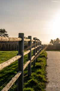 Herfstwandeling Glabbeek