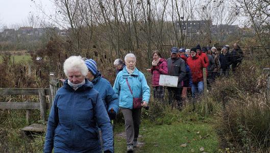 Waar de rudderen grazen