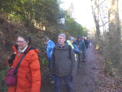 wandeling in Het Osbroek