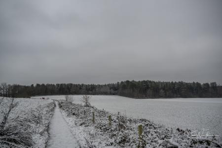Winterwandeling Averbode