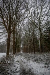 Winterwandeling Averbode