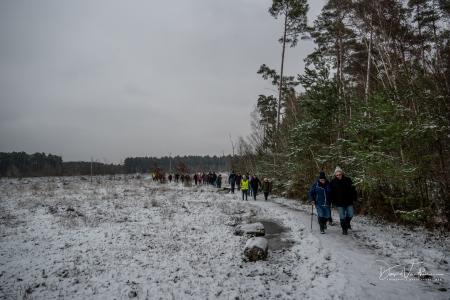 Winterwandeling Averbode