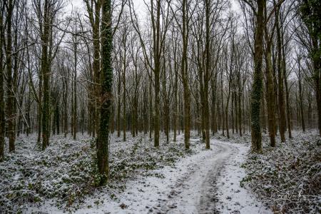 Winterwandeling Averbode