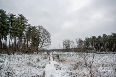 Winterwandeling Averbode