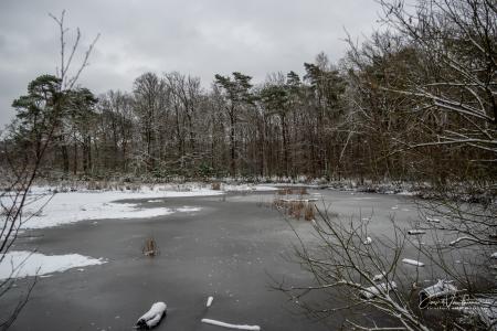Winterwandeling Averbode
