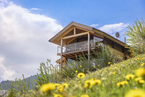 alps resorts