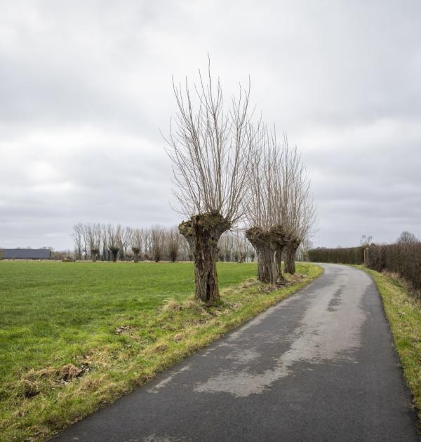 Oudenaarde