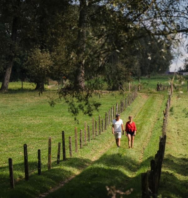 Wandelen