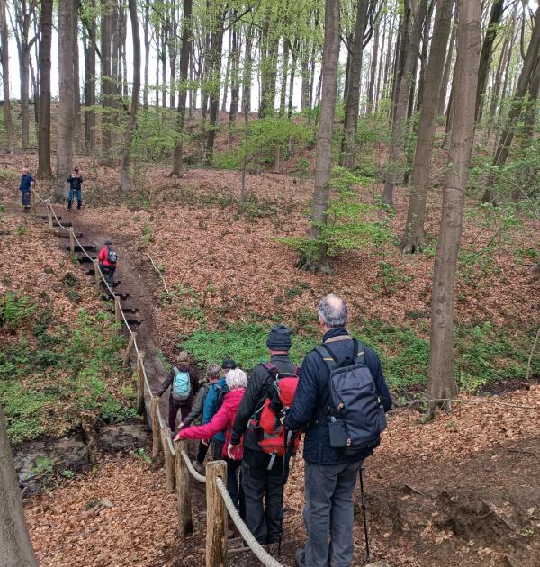 Scherpenbergbos