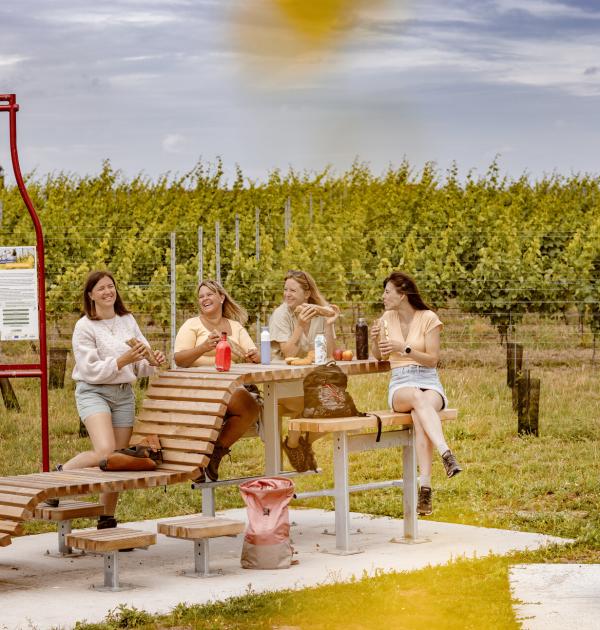 Picknickzone wijndomein Den Nachtegael