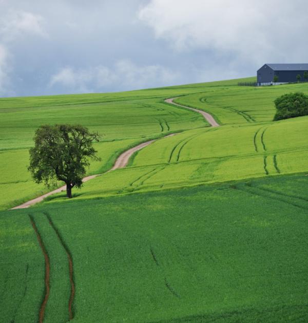 moselsteig