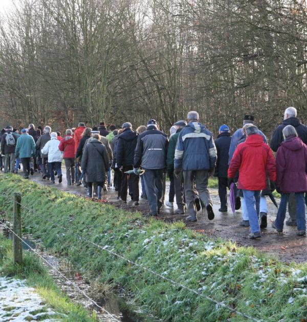 Herfstwandeling