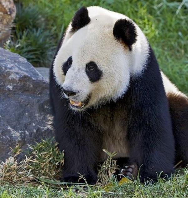 Zoo Antwerpen