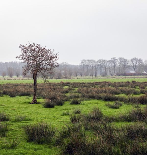 Drenthe