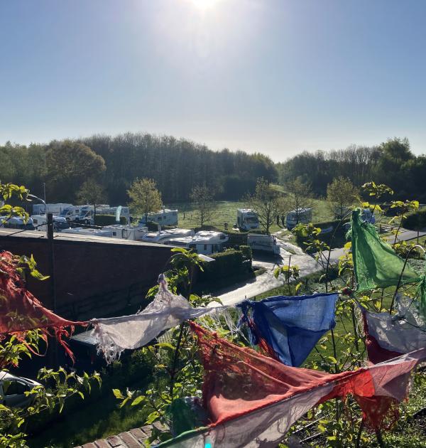Dentergem Bloesem Midweek