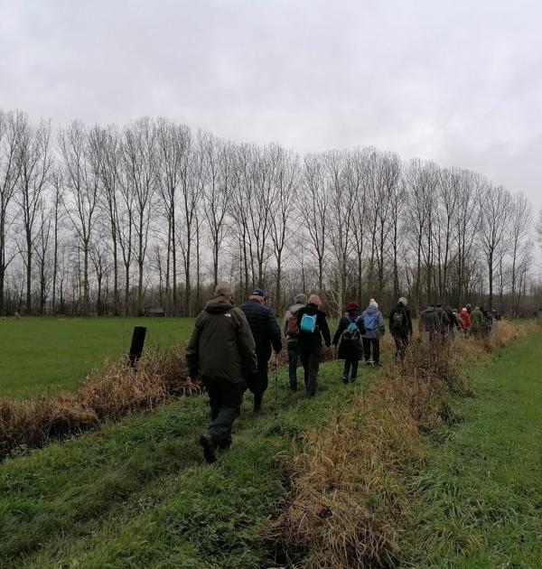 Steenhuffe