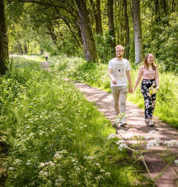 wandelen in dilbeek