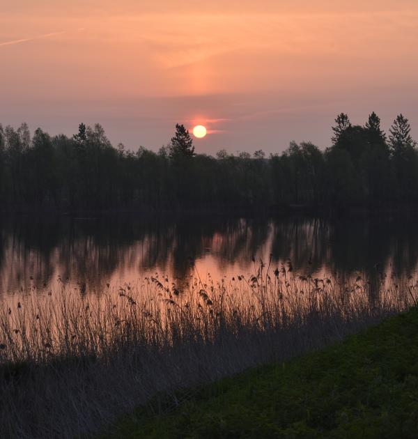 zonsopkomst