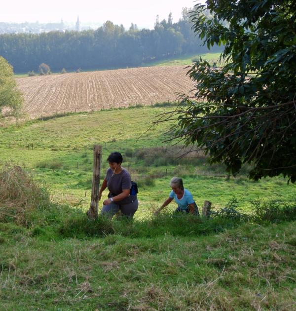 Vlaamse Ardennen