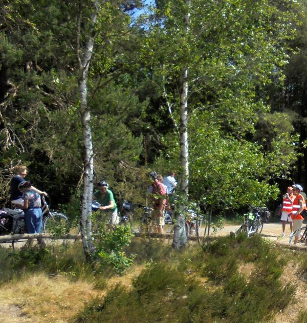 Pasar Zemst op de heide