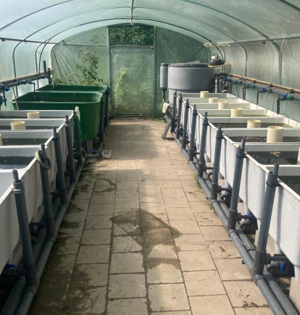 Onderzoekscentrum voor Aquatische Fauna Linkebeek