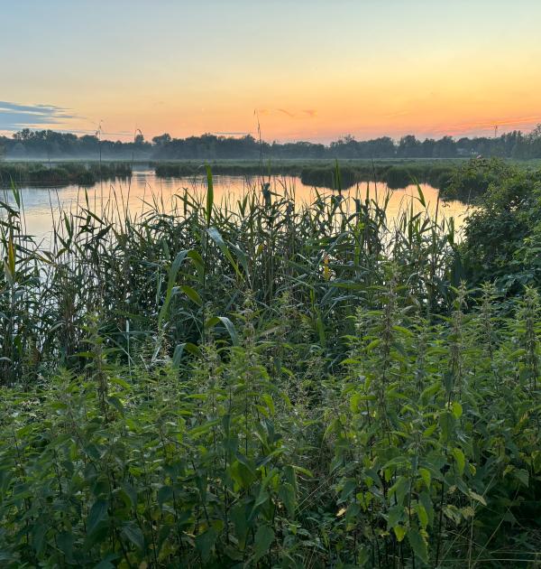 scheldevallei