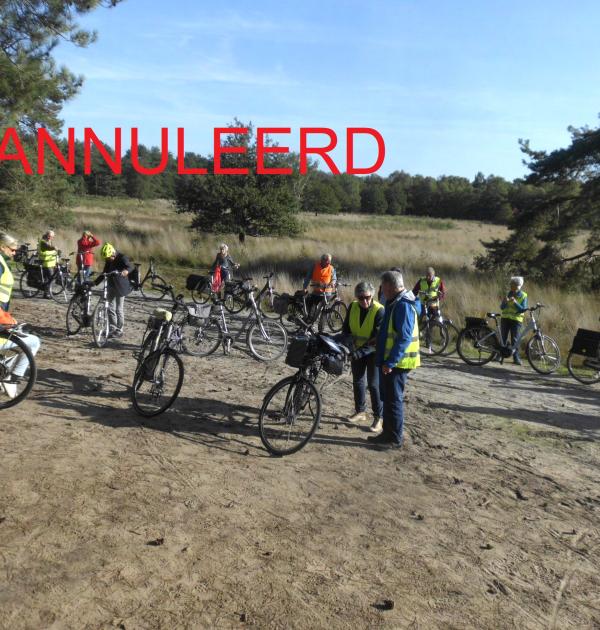 annulatie