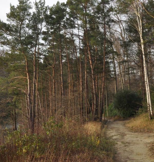 Vijver Parc Solvay