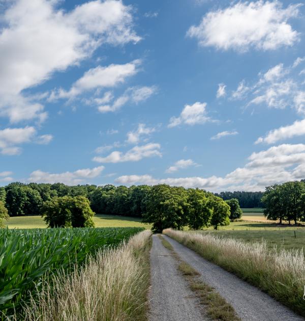 Kersbeek