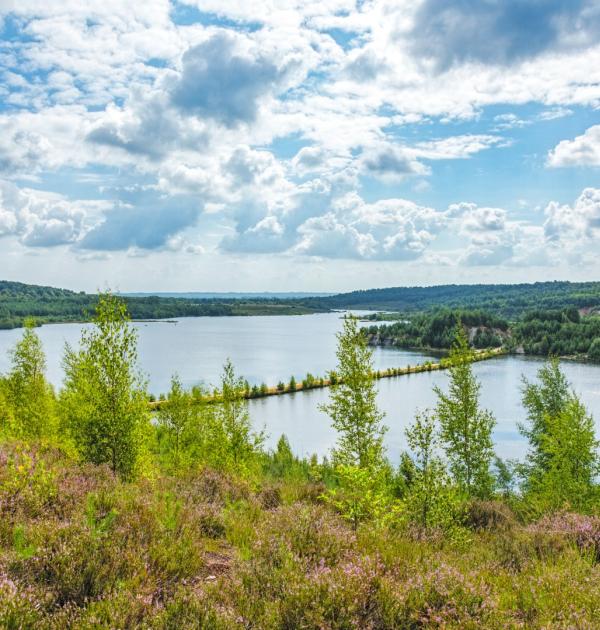 Nationaal park hoge kempen